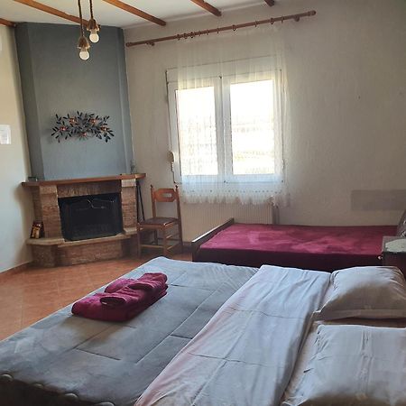 Alexandros Guesthouse Orma Ngoại thất bức ảnh