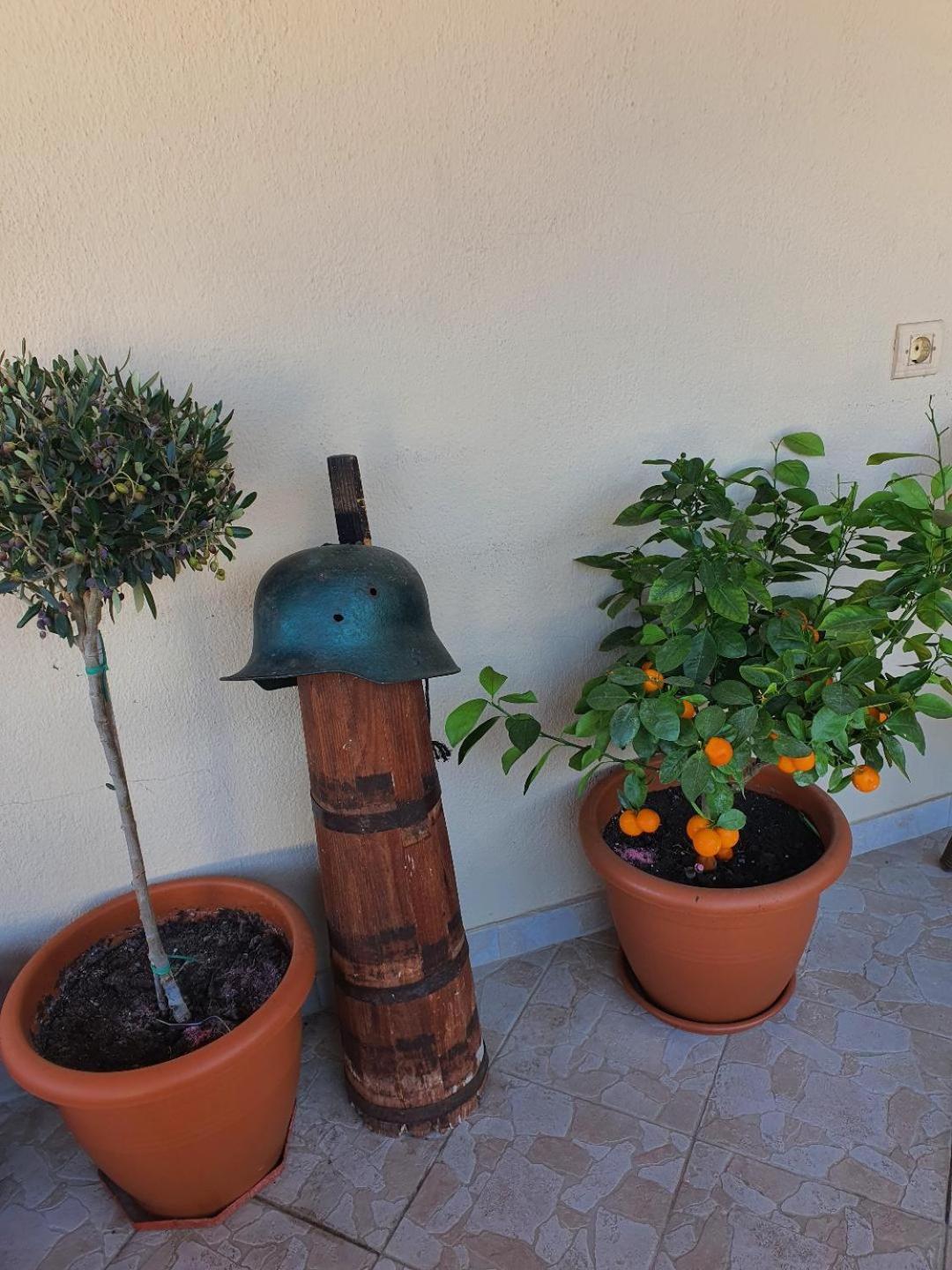 Alexandros Guesthouse Orma Ngoại thất bức ảnh